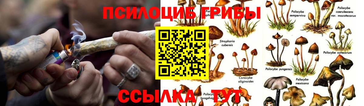 купить наркотик  Вход с VPN  Псков  Галлюциногенные грибы ЛСД  Галлюциногенные грибы мухоморы 